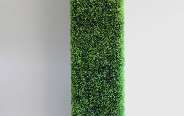 Colonna di Fir Grass