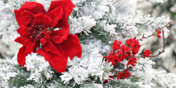 alberi di natale gadget natalizi ingrosso cis nola