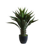 ALOE JF12010647 Misure:H 70cm