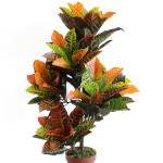 CROTON 828 ART.136/2 Misure: H100cm