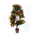 PIANTA CROTON GRANDE ART.828/303/2 Misure: H135cm